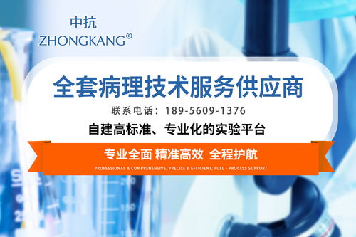 2026年如何高標(biāo)準(zhǔn)甄選石蠟包埋科研病理技術(shù)服務(wù)伙伴